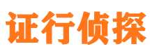 港闸调查公司